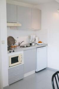 One Bedroom Apartment kitchenette