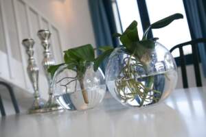 Quadruple Loft Studio detail